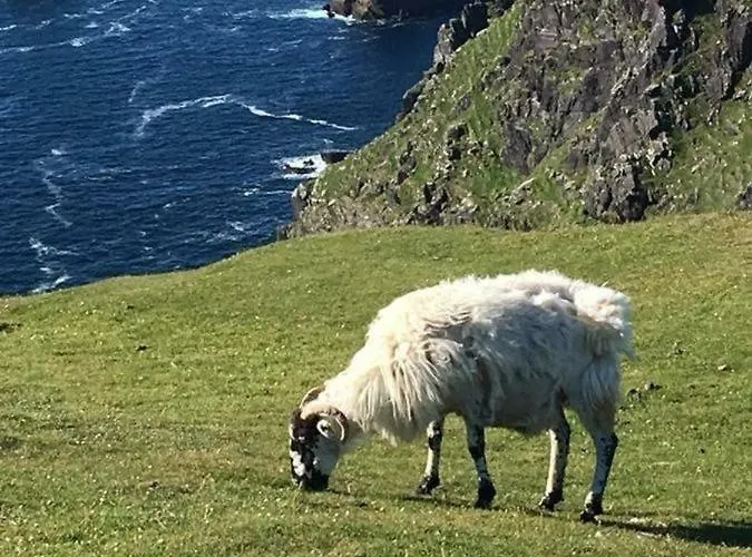 Puffin Apartment Knights Town